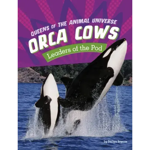 Orca Cows: Leaders of the Pod
