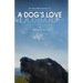 A Dog's Love: the unconditional love of a dog's love