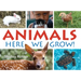 Animals!: Here We Grow