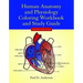 Human Anatomy & Physiology Coloring Workbook