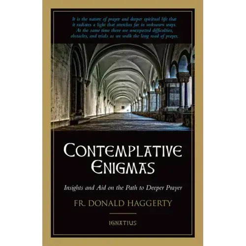 Contemplative Enigmas: Insights and Aid on the Path to Deeper Prayer