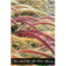 The Book Of The Holy Rosary: A Popular Doctrinal Exposition Of Its Fifteen Mysteries Mainly Conveyed In Select Extracts From The Fathers And Doctor