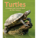 Turtles: A Compare and Contrast Book