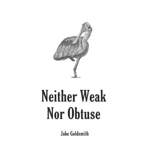 Neither Weak Nor Obtuse: A Memoir