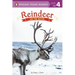 Reindeer: On the Move!