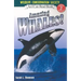 Amazing Whales!