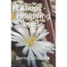 Lithops - Flowering Stones