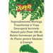 Superalimentul Moringa Transformă-ți Viața Descoperă Secretele Naturii prin Peste 100 de Rețete Inovatoare pe Bază de Pl