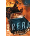 Break