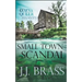 Small Town Scandal: A Queer and Cozy Mystery