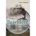 Goodbye, Belvidere: I Much Love You