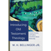 Introducing Old Testament Theology