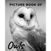 Picture Book of Owls: The Picture Book for Alzheimer's Patients and Seniors with Dementia.