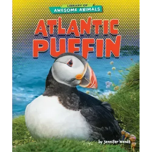 Atlantic Puffin