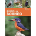 Birds of Borneo