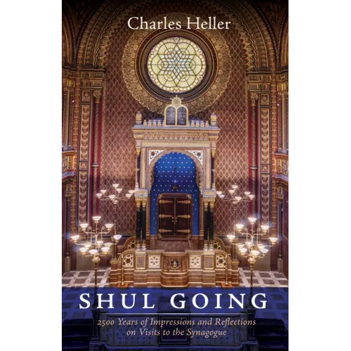 Shul Going: 2500 Years of Impressions and Reflections on Visits to the Synagogue