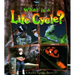 What Is a Life Cycle?