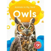 Owls