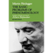 The Basic Problems of Phenomenology, Revised Edition