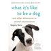 What It's Like to Be a Dog: And Other Adventures in Animal Neuroscience