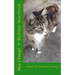 Bedtime Storybook: A book of children's stories
