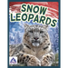 Snow Leopards