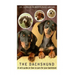 The Dachshund: A vet's guide on how to care for your Dachshund