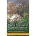 Early Spring in Massachusetts: From the Journal of Henry David Thoreau