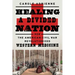 Healing a Divided Nation: How the American Civil War Revolutionized Western Medicine