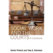 Social Work and the Courts: A Casebook