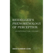 Heidegger's Phenomenology of Perception: An Introduction