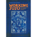 Working Juju: Representations of the Caribbean Fantastic