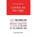 Cricket on the Edge: the year of 'The Hundred' war