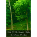 Works Of The Seraphic Father St. Francis Of Assisi