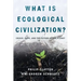 What Is Ecological Civilization: Crisis, Hope, and the Future of the Planet
