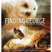 Finding George: Book One