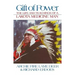 Gift of Power: The Life and Teachings of a Lakota Medicine Man