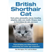 British Shorthair Cat: From bringing your kitten home to comforting your senior age beloved companion