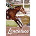 Landaluce: The Story of Seattle Slew's First Champion