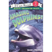 Amazing Dolphins!