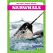 Narwhals