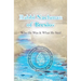 Rabbi Nachman of Breslov; Who He Was, and What He Said