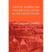 Native American Higher Education in the United States