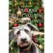 The Dog Who Came for Christmas