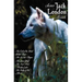 Seven Jack London Novels (Complete and Unabridged) Including: The Call of the Wild, White Fang, the Scarlet Plague, the Sea-Wolf, the Iron Heel, Marti