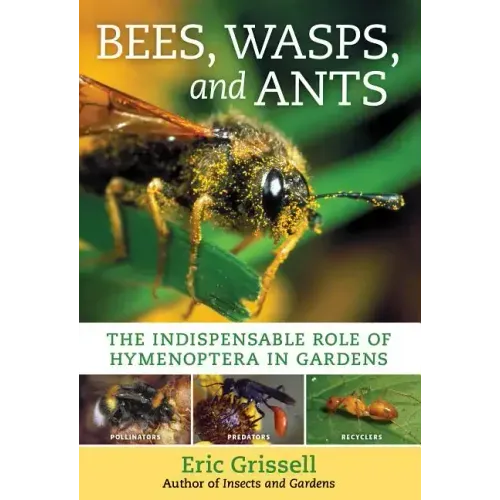 Bees, Wasps, and Ants: The Indispensable Role of Hymenoptera in Gardens