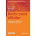 Reinforcement of Rubber: Visualization of Nanofiller and the Reinforcing Mechanism