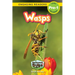 Wasps: Backyard Bugs and Creepy-Crawlies (Engaging Readers, Level Pre-1)