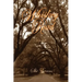 Whiskey Road