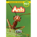 Ants: Backyard Bugs and Creepy-Crawlies (Engaging Readers, Level Pre-1)